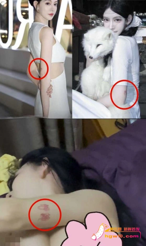 千万粉网红陈安淇欠债落魄，疑下海陪侍且性爱视频流出