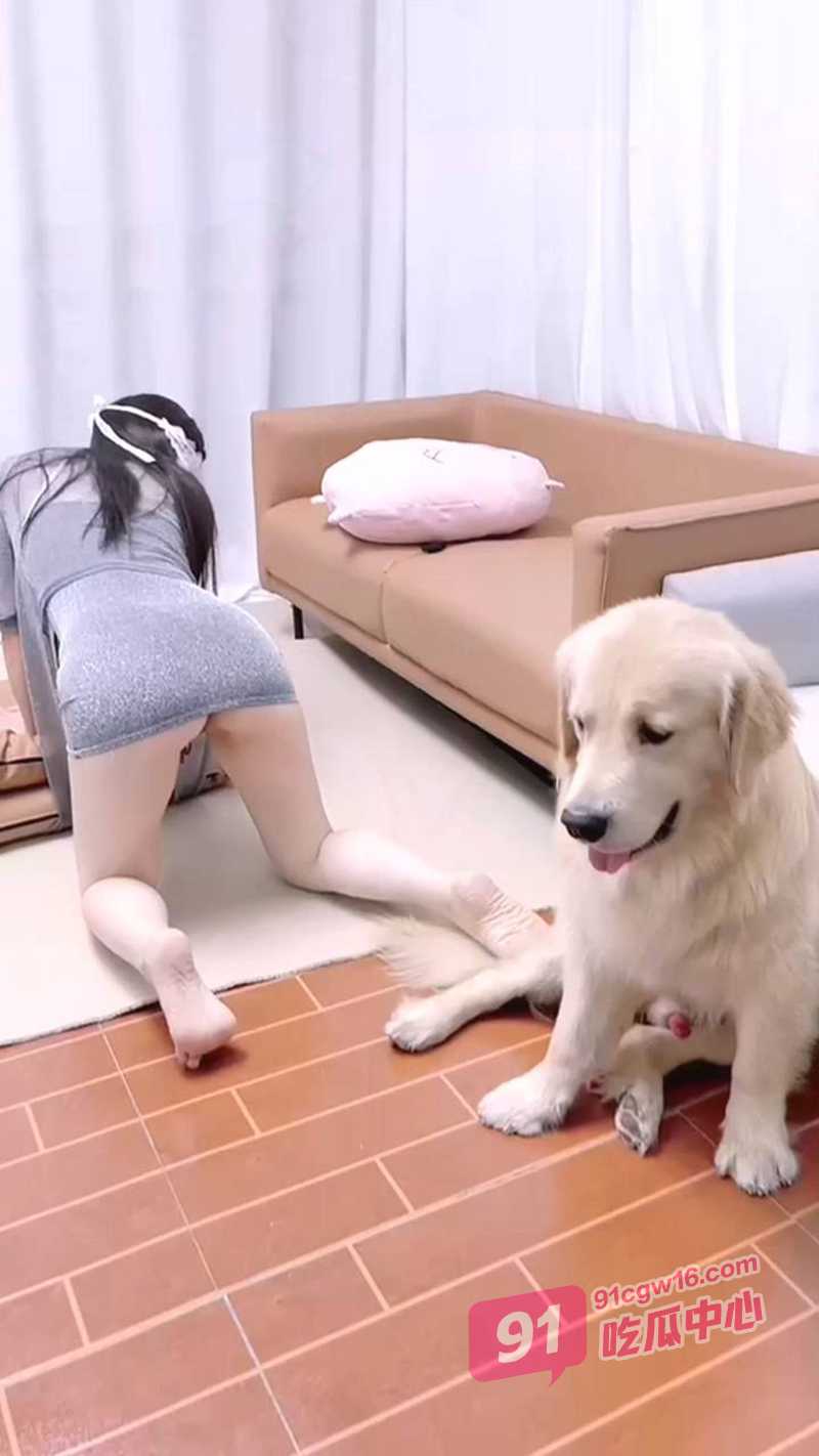 香香公主合集~与爱犬的性爱结合 被金毛内射 娴熟的动作让人可怕! 配图5
