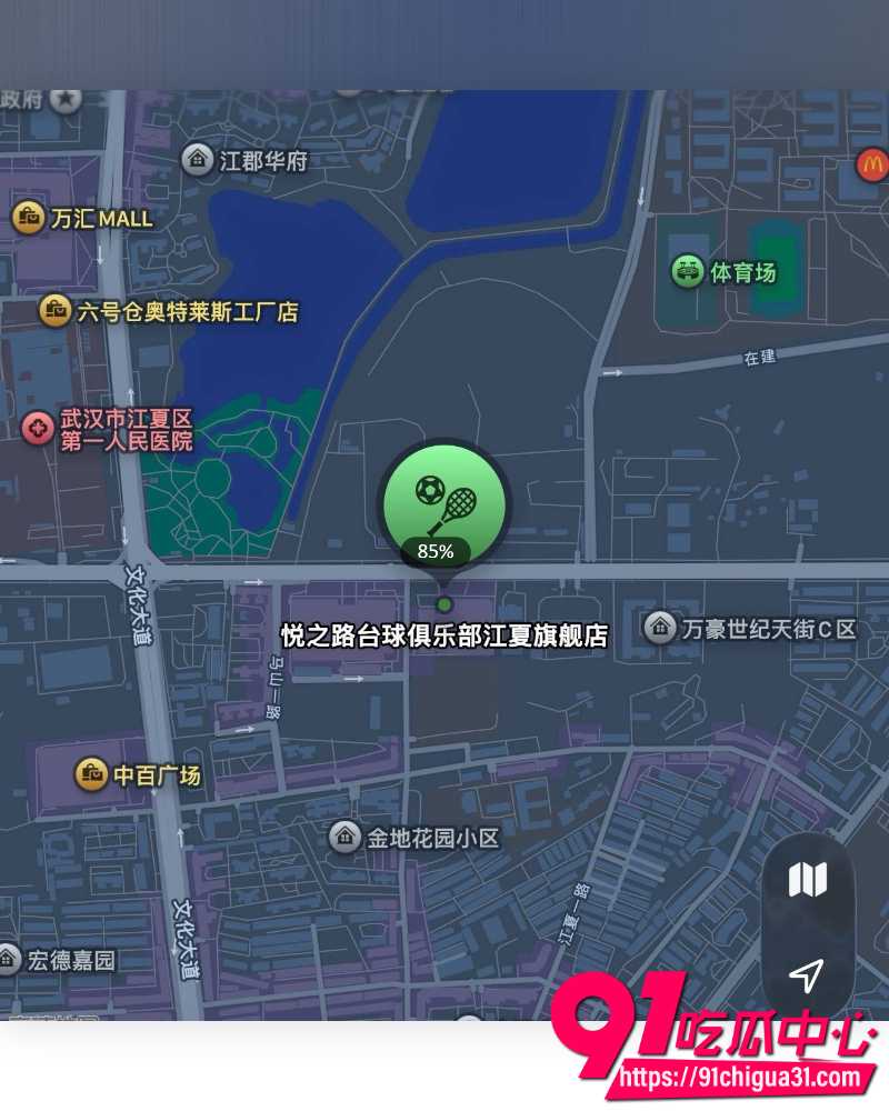武汉江夏区悦之路台球厅 惊现卖淫服务 60名助教被一锅端 群友爆出双飞助教记录！