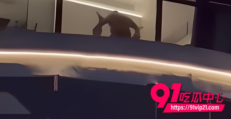 巴马归酒店 2 巴马归酒店 2